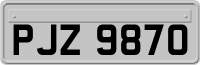 PJZ9870