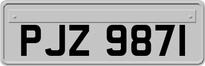 PJZ9871