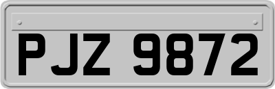 PJZ9872