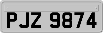 PJZ9874