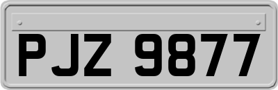 PJZ9877