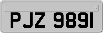 PJZ9891