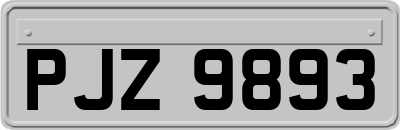 PJZ9893
