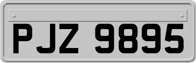 PJZ9895