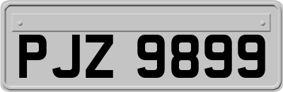 PJZ9899