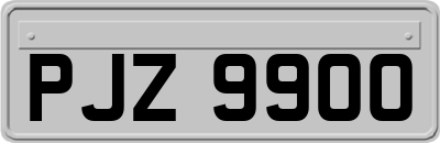 PJZ9900