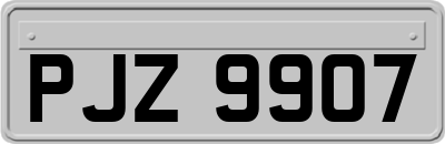 PJZ9907