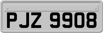 PJZ9908