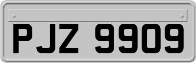 PJZ9909
