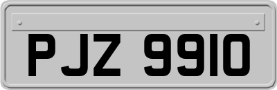 PJZ9910