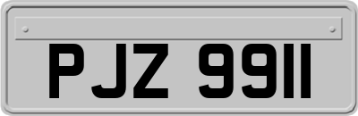 PJZ9911