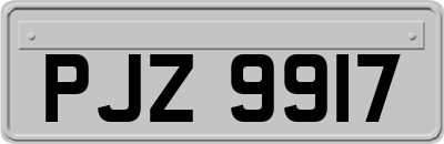 PJZ9917