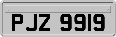 PJZ9919
