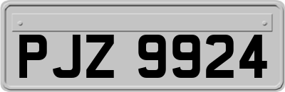 PJZ9924