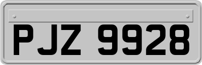 PJZ9928