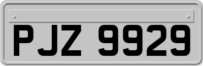 PJZ9929