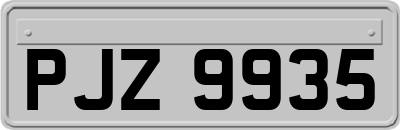 PJZ9935