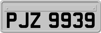 PJZ9939