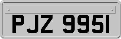 PJZ9951