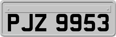 PJZ9953