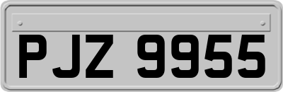 PJZ9955