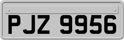 PJZ9956