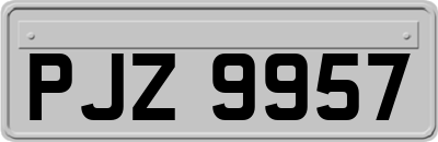 PJZ9957
