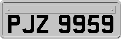 PJZ9959