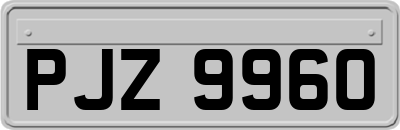 PJZ9960