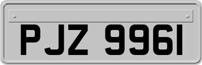PJZ9961