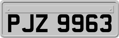 PJZ9963