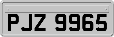PJZ9965
