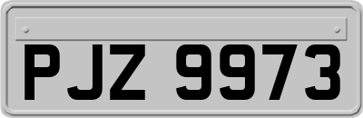 PJZ9973