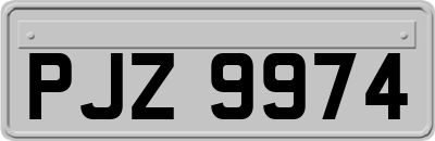 PJZ9974