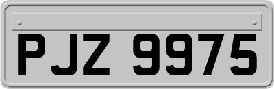 PJZ9975