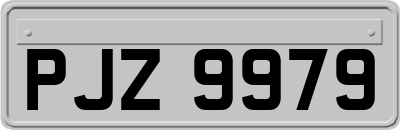 PJZ9979