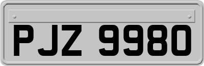 PJZ9980