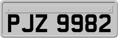 PJZ9982