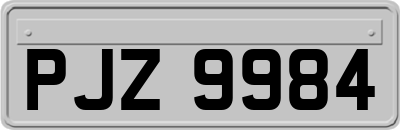 PJZ9984