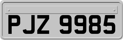 PJZ9985