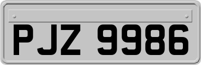 PJZ9986