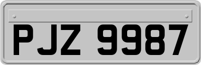 PJZ9987