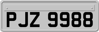 PJZ9988