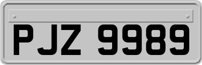 PJZ9989