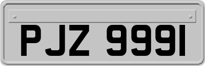 PJZ9991