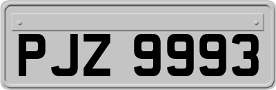 PJZ9993