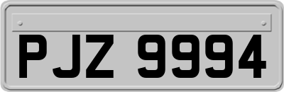 PJZ9994