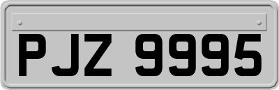 PJZ9995