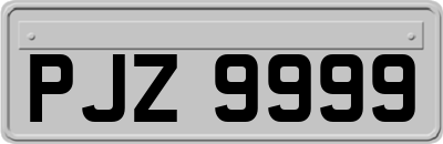 PJZ9999