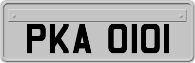 PKA0101